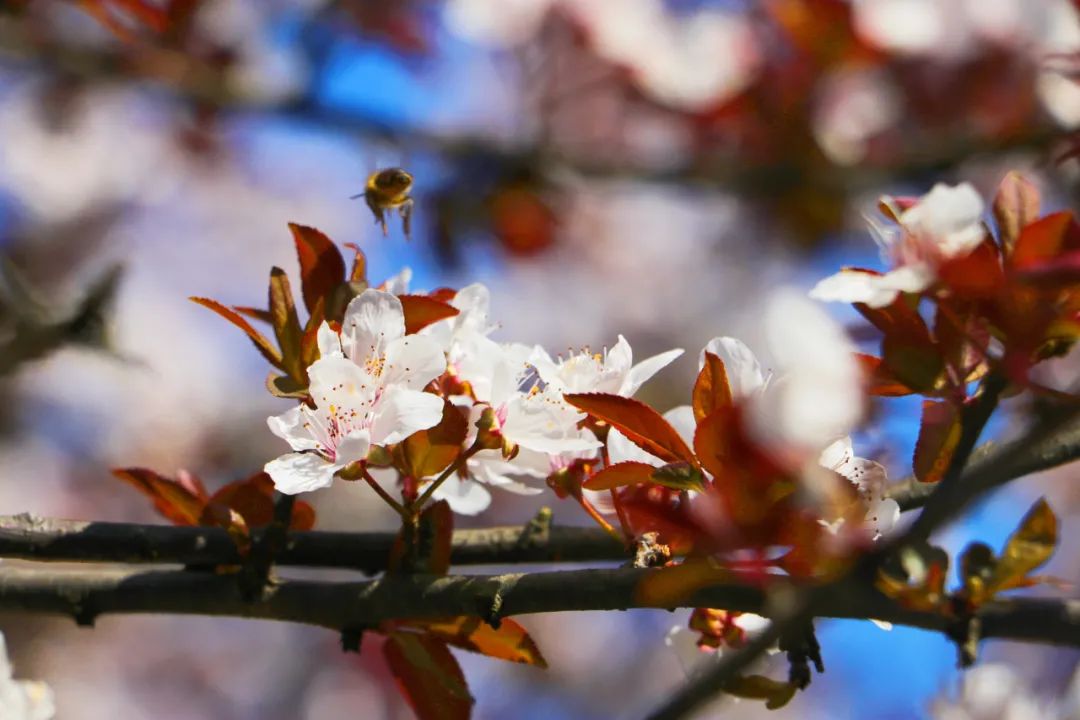 1649492025111339.jpg 6.jpg