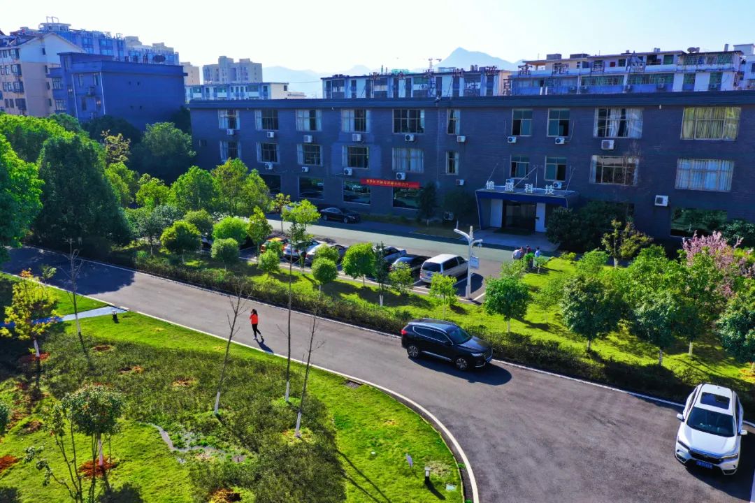 1649492132193175.jpg 27.jpg