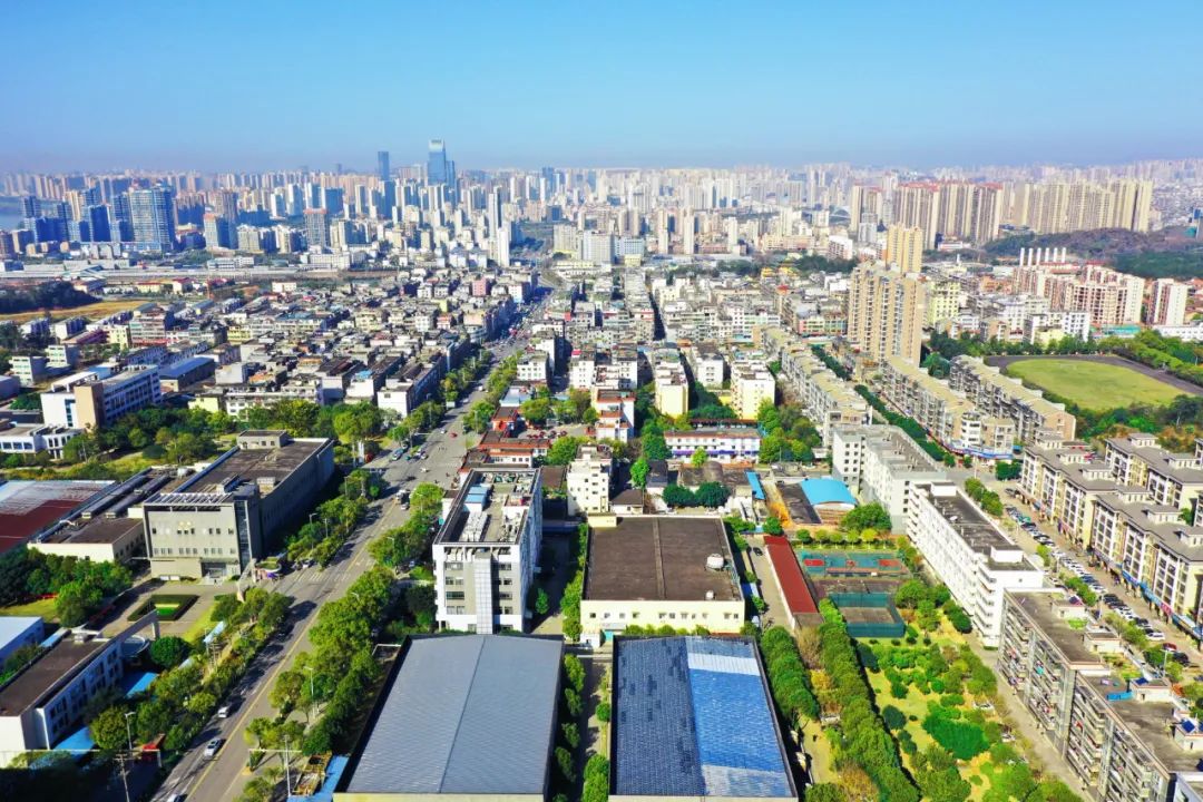 1649492150591027.jpg 30.jpg