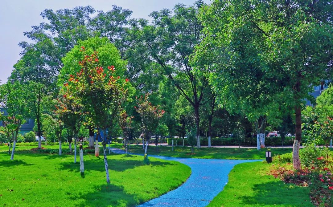 1652083102396590.jpg 8.jpg